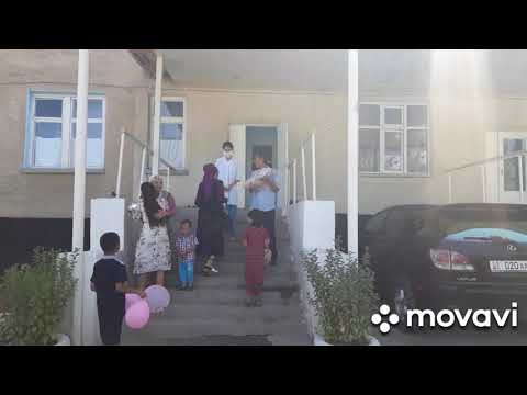 Видео: Сулукту шаары!