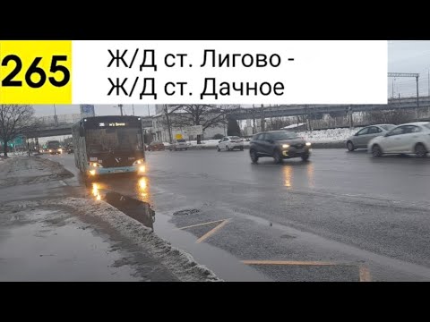 Видео: Автобус 265. Ж/Д ст. Лигово - Ж/Д ст. Дачное