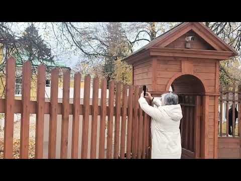 Видео: Всё о Болдино. Необычные факты о Пушкине. Для туристов Нижнего Новгорода. 