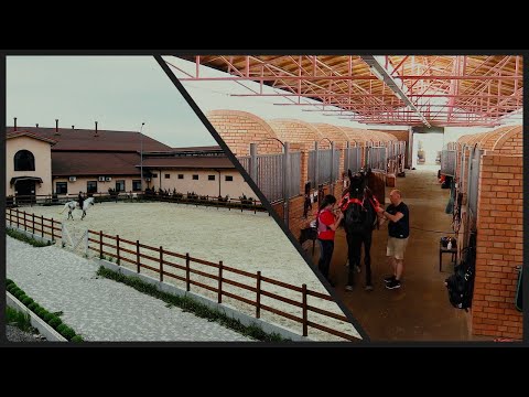 Видео: Красота и грация лошадей в конно-спортивном клубе  Equi Life