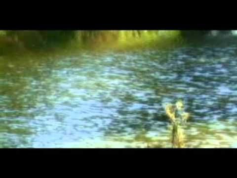 Видео: Би-2: "Реки", 2004