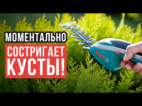 Видео: ТОП-5 электрических кусторезов от 4000 рублей. Какой кусторез выбрать?