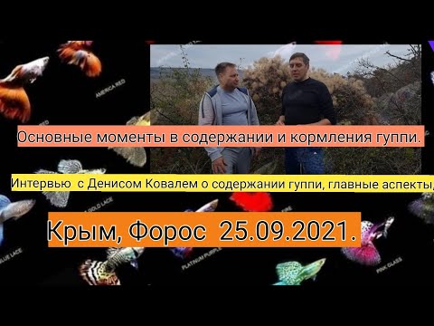 Видео: Интервью с Денисом Ковалем. содержание, кормление, сохранение линий. Рецепт фарша.