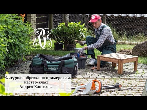 Видео: Фигурная обрезка на примере ели. Мастер-класс Андрея Копысова