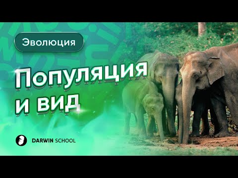 Видео: Тема №2. Популяция и вид