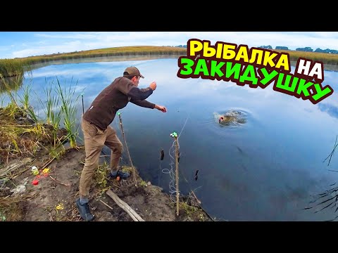 Видео: Рыбалка на закидушки с ночевкой. Не ожидал такой клев. Карп в казане с овощами.