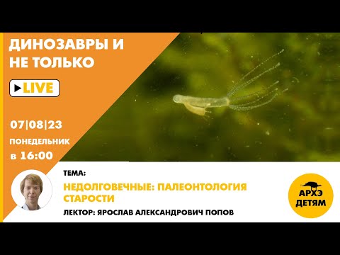 Видео: Занятие "Недолговечные: палеонтология старости" кружка "Динозавры и не только" с Ярославом Поповым