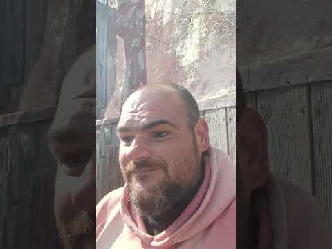 Видео: Корова съела мешок дерти. Стал желудок. Экстренная помощь.