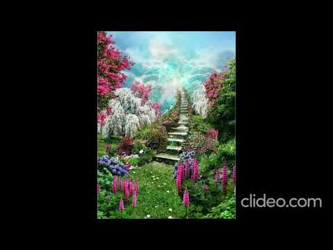 Видео: Остановка -Рай ( авторская песня , стихи Настя Бехтина, музыка ИИ, 2025 год )