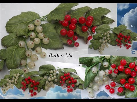 Видео: Смородина красная и белая в смешанной технике Red and white currants in a mixed technique