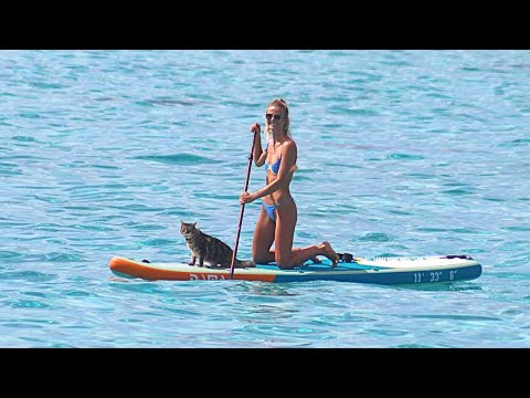 Видео: Живу одна на парусной лодке с моим котом! Проблемы, с которыми мы сталкиваемся на самом деле [эп....