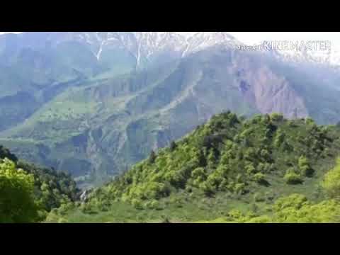 Видео: БЕХТАРИН ГАЗАЛИЁТ  ПРИРОДУ ТАЖИКИСТАН 🌏🏕🦙🏞