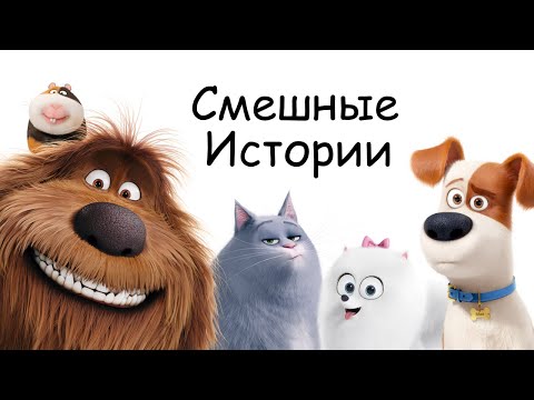 Видео: СЕКРЕТЫ ДОМАШНИХ ЖИВОТНЫХ | Часть 1 - Смешные комиксы для детей