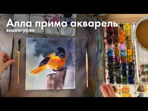 Видео: Птичка акварелью| алла прима| видео-урок