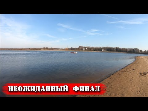 Видео: Коп монет с неожиданным финалом. Нашел гусеницы от трактора. Коп 2019