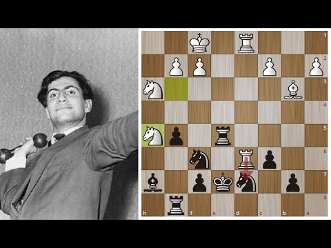 Видео: Михаил ТАЛЬ "Чуть помедленнее, кони, чуть помедленнее!"  Шахматы.