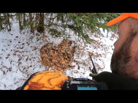 Видео: Охота на оленей в Нью-Гэмпшире (первый день)