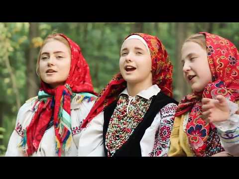 Видео: «Шовские страдания» с  Волчье Добровского р-на Липецкой области