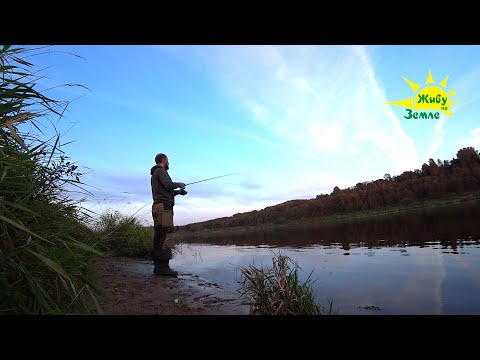 Видео: Осенью Рыбалка меняется. Другие приманки, другое поведение рыбы