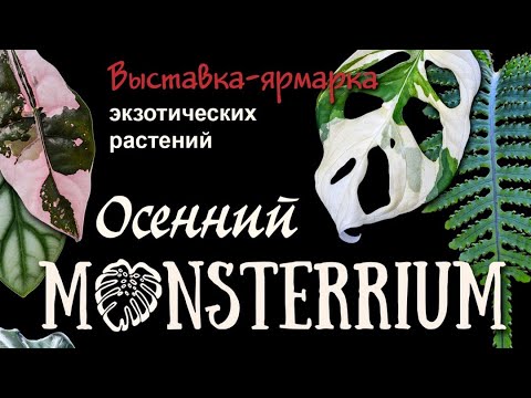 Видео: Осенний Монстерриум-2025. Обзор выставки-ярмарки с комментариями