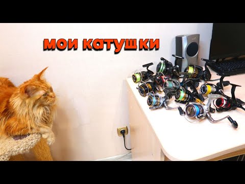 Видео: Все мои катушки для спиннинга