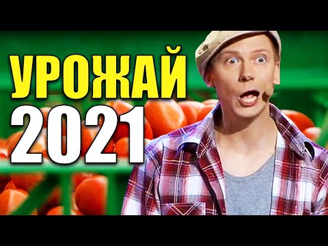 Видео: Урожай в деревне 2021! Как проходят деревенские будни в конце лета? Жизнь в деревне. Юмор 2021