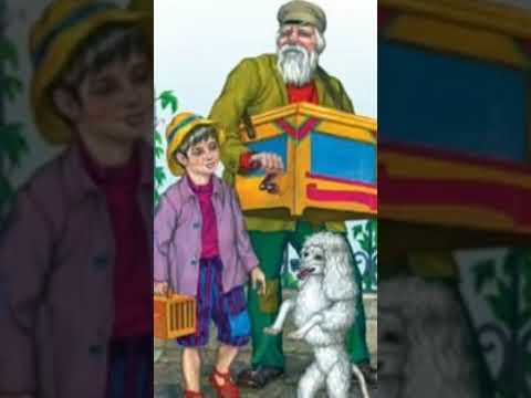 Видео: О рассказе Белый пудель. А. Куприна
