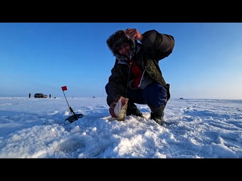 Видео: Рыбалка в Заповеднике! Озеро Султан! На Рыбалку на крутом Джипе!