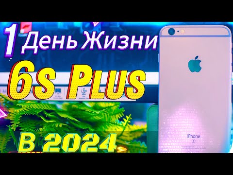 Видео: Эксперимент, 1 день с iPhone 6s Plus в 2024 году, САМЫЙ выгодный iphone?