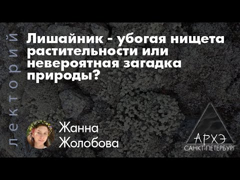 Видео: Лишайник — убогая нищета растительности или невероятная загадка природы? | Жанна Жолобова