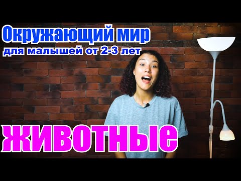 Видео: Окружающий мир для малышей. Животные