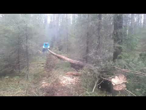 Видео: Т-40АМ Работа НА ПРЕДЕЛЕ ВОЗМОЖНОСТЕЙ!!!Первая поломка.