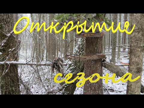 Видео: Открытие сезона на соболя 2022. Установка первых капканов КА-2У. Различные варианты установки.