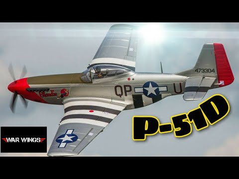 Видео: Вар Вингс P-51D War Wings