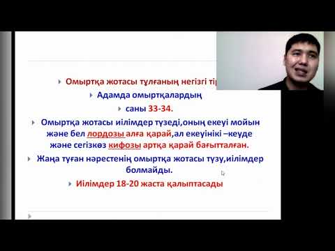 Видео: Тірек қимыл-жүйесі