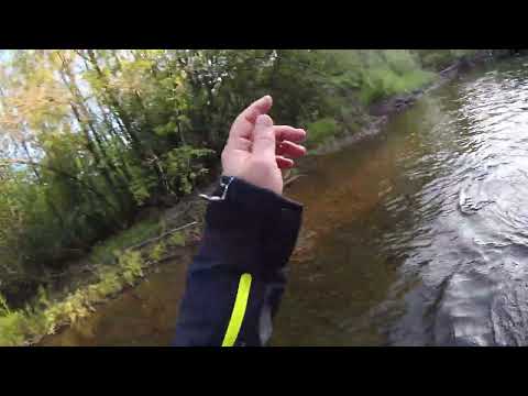 Видео: Рыбалка на горных реках Хабаровского края  ХИТРОСТИ И СЕКРЕТЫ ПО ПОИМКЕ ХАРИСА часть 3  ПРО МУШКИ