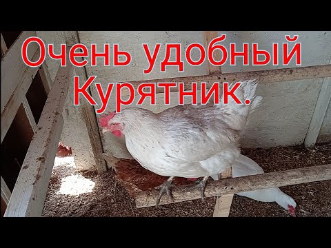 Видео: Обустройство курятника. Модернизация. Так стало гораздо удобнее