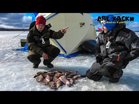 Видео: ТАКОГО УТРА МЫ НЕ ОЖИДАЛИ. ЗИМНЯЯ РЫБАЛКА С НОЧЕВКОЙ НА ЛЬДУ.
