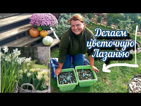 Видео: Распаковка посылки с луковичными. Посадка первоцветов в кашпо. Рабочий влог #4