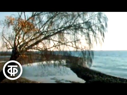 Видео: Осень на Байкале (1991)