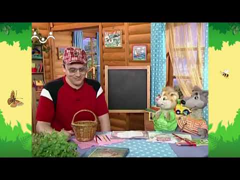 Видео: День в Шишкином Лесу. Циферкин. Весёлые цифры