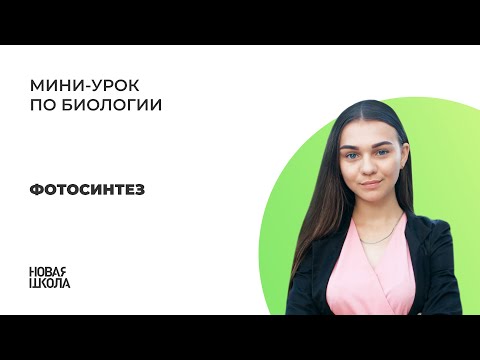 Видео: НШ | Биология. Фотосинтез