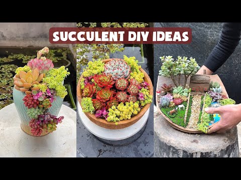 Видео: 13 сочных идей DIY