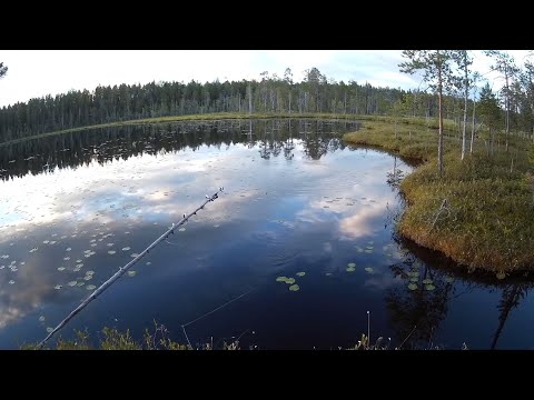 Видео: Карелия. На рыбалку в любимые места. Часть 2.