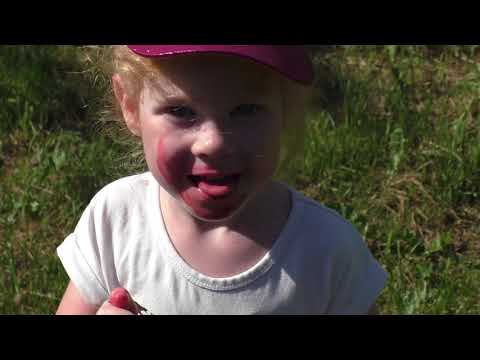 Видео: Иванушки International.  Кукла Даша кукла Маша.