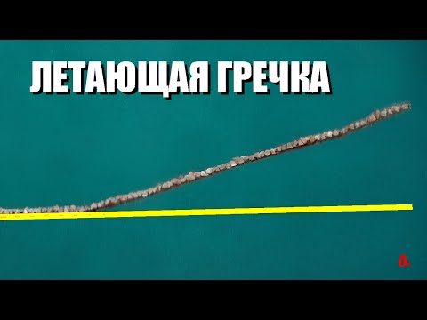 Видео: Летающая гречка