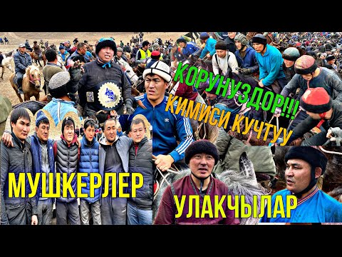 Видео: Мушкерлер & Улакчылар ТАЛАШЫП Кабыл Мырзанын УЛАГЫН Каттуу КЫЗЫТЫШТЫ 15/03/2021