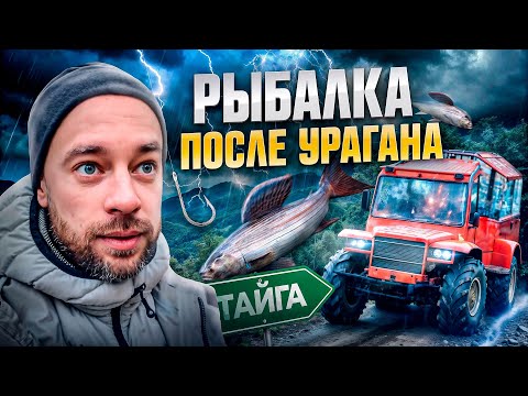 Видео: Охота на хариуса в тайге. Застряли на вездеходе после урагана. Рецепт самой вкусной рыбы!