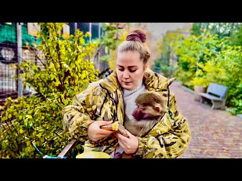 Видео: УРАА! Манечка ЕДЕТ В ГОСТИ к Люське и Анфисе! 