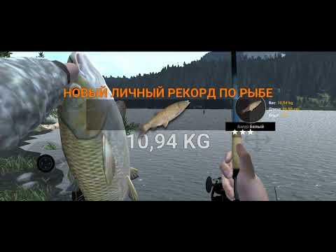 Видео: Поймал крупную щуку и белого амура в Professional fishing 2🦈